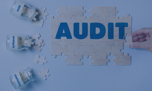 Audit & Assurance by Chartered Accountant